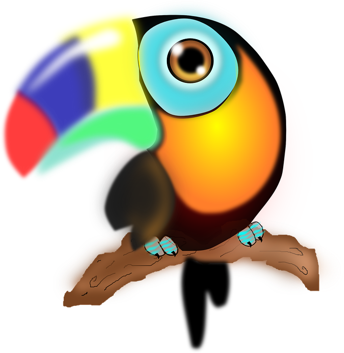 Sitting Parrot Cliparts 19, Buy Clip Art - Tucan Png (701x720)