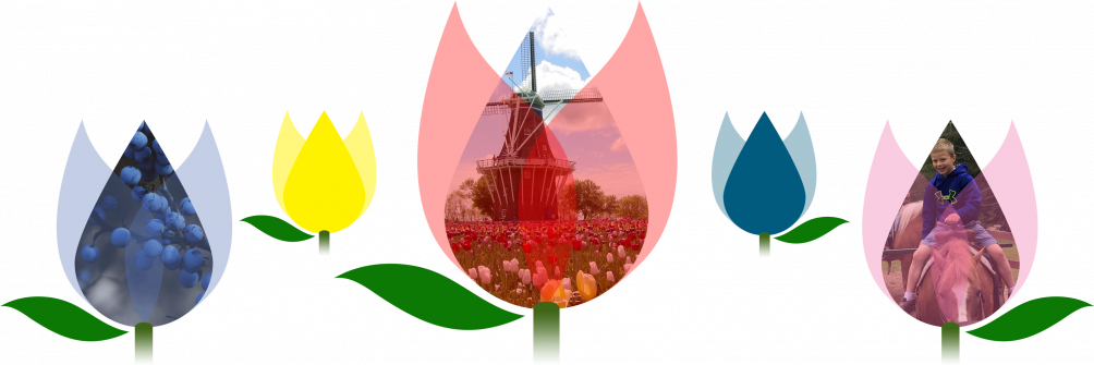 Tulip Time Is A Great Celebration That Includes Authentic - Illustration (1004x335)