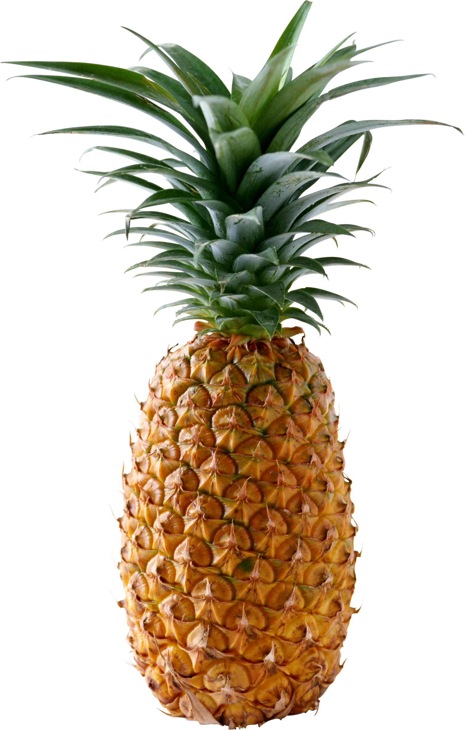 Ananas Png (1555x2441)