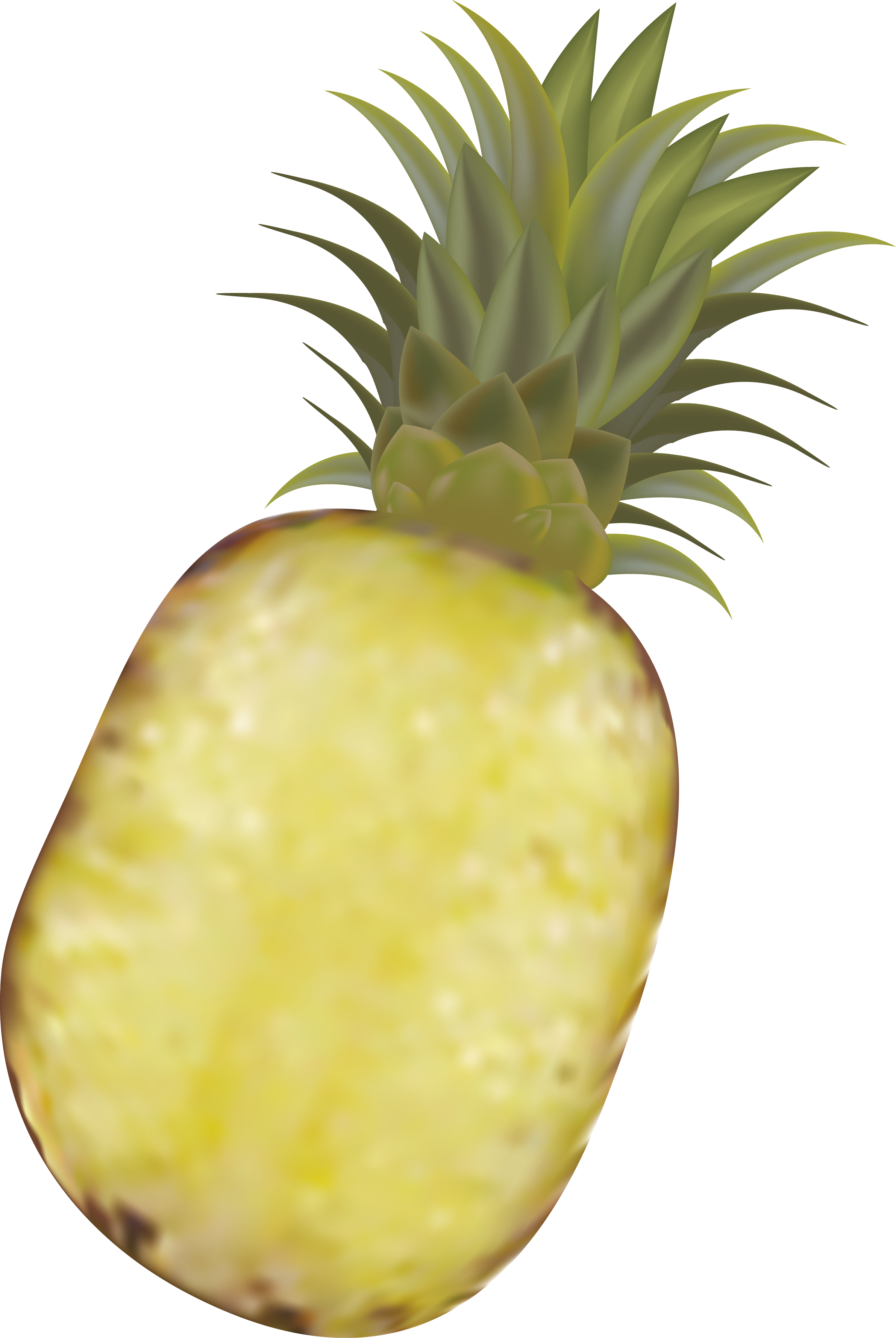 Pineapple Fruit Royalty-free - Illustration (2383x3558)