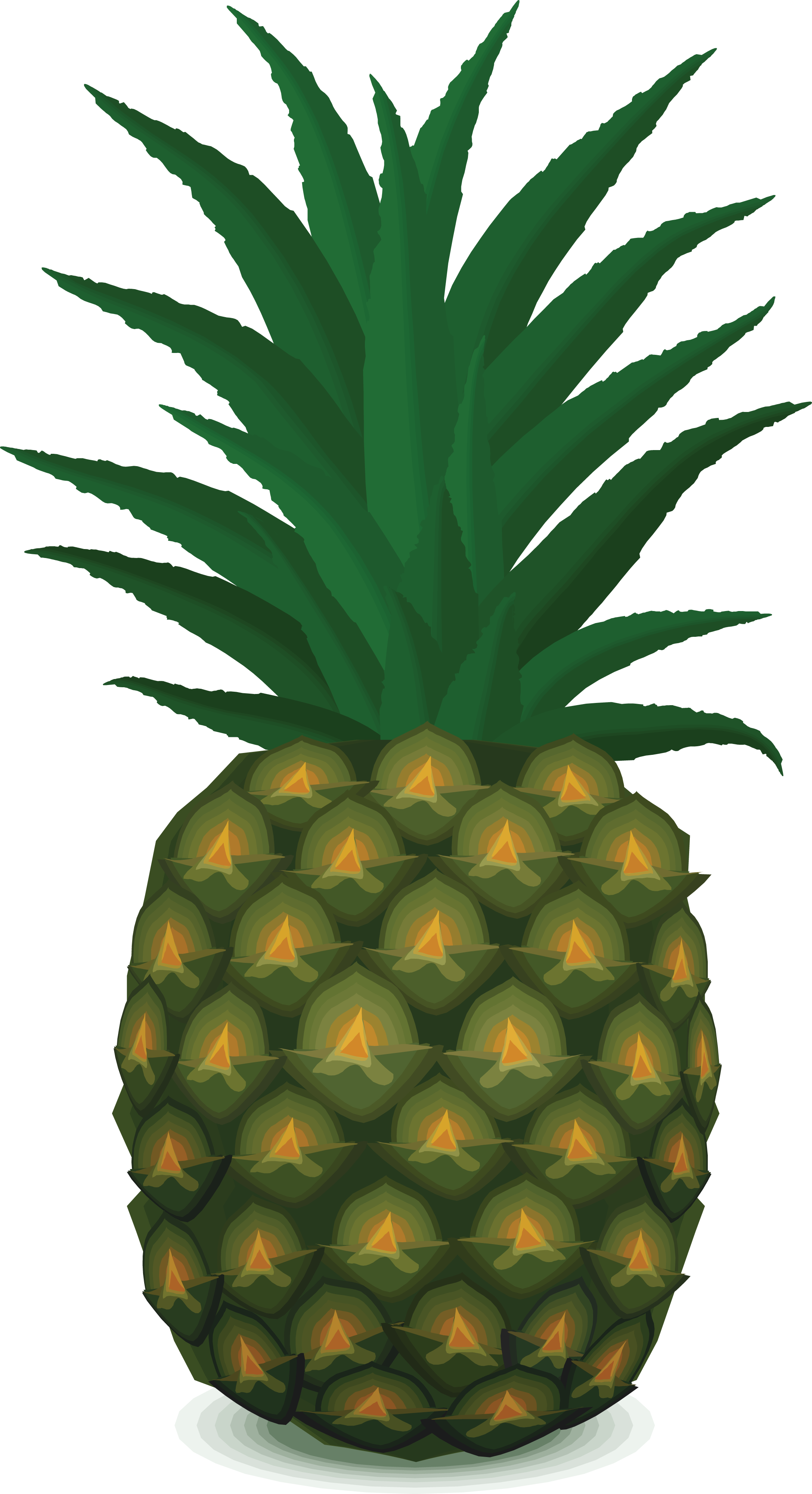 Pineapple Png Images Free Pictures Download Pineapple - Ананас Пнг (2174x4000)