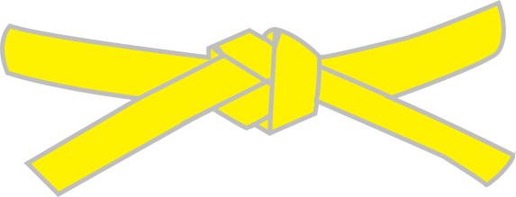 No Belt - Taekwondo Yellow Low Belt (573x219)