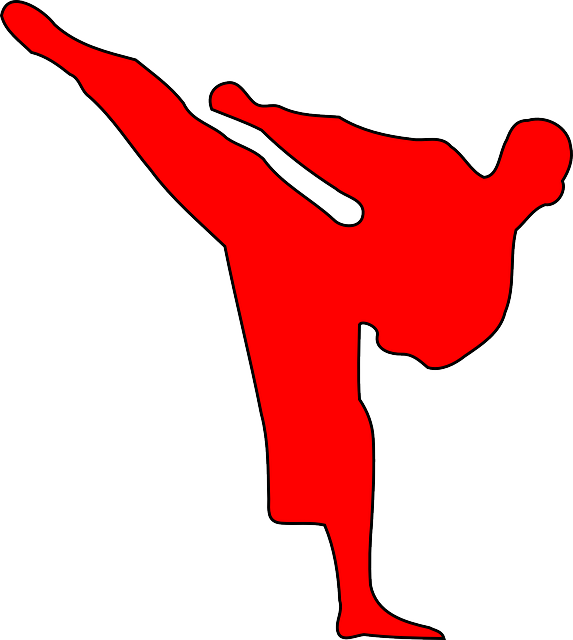Centrally Located - Red Karate Silhouette (573x640)