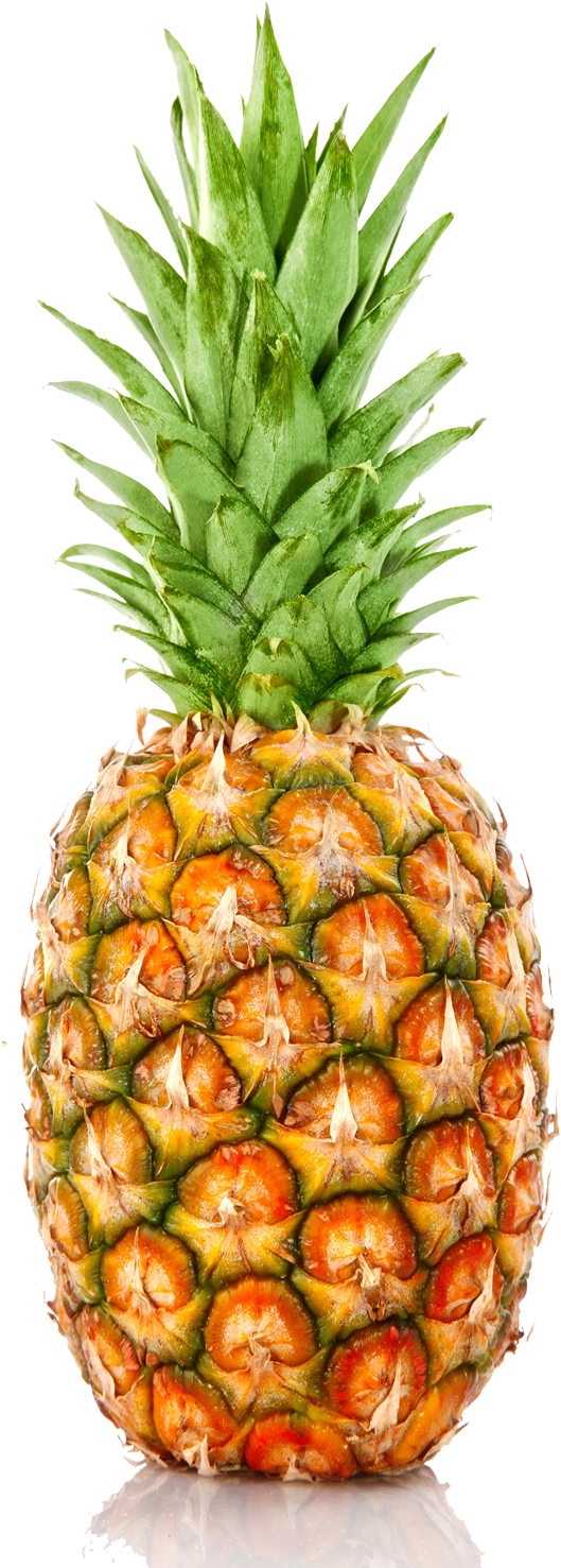 Pineapple - Nutraplex Pineapple Coconut Bar - 12 Count, 1.83oz (1600x1500)
