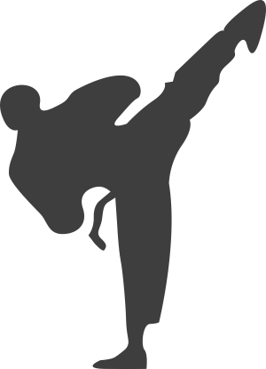 Pickkick - Krav Maga Clip Art (300x415)