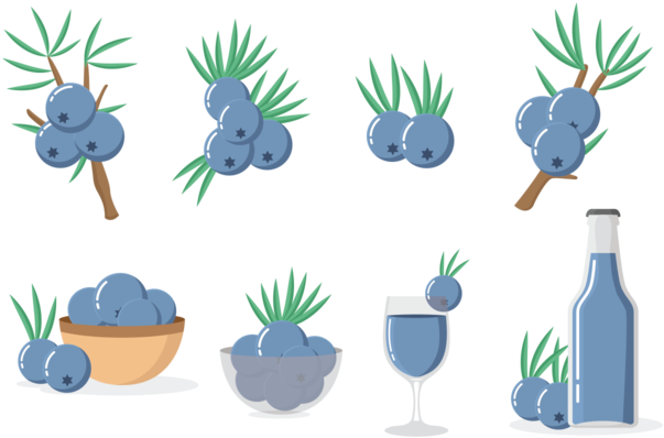 Juniper Icons Vector - Icon (700x490)