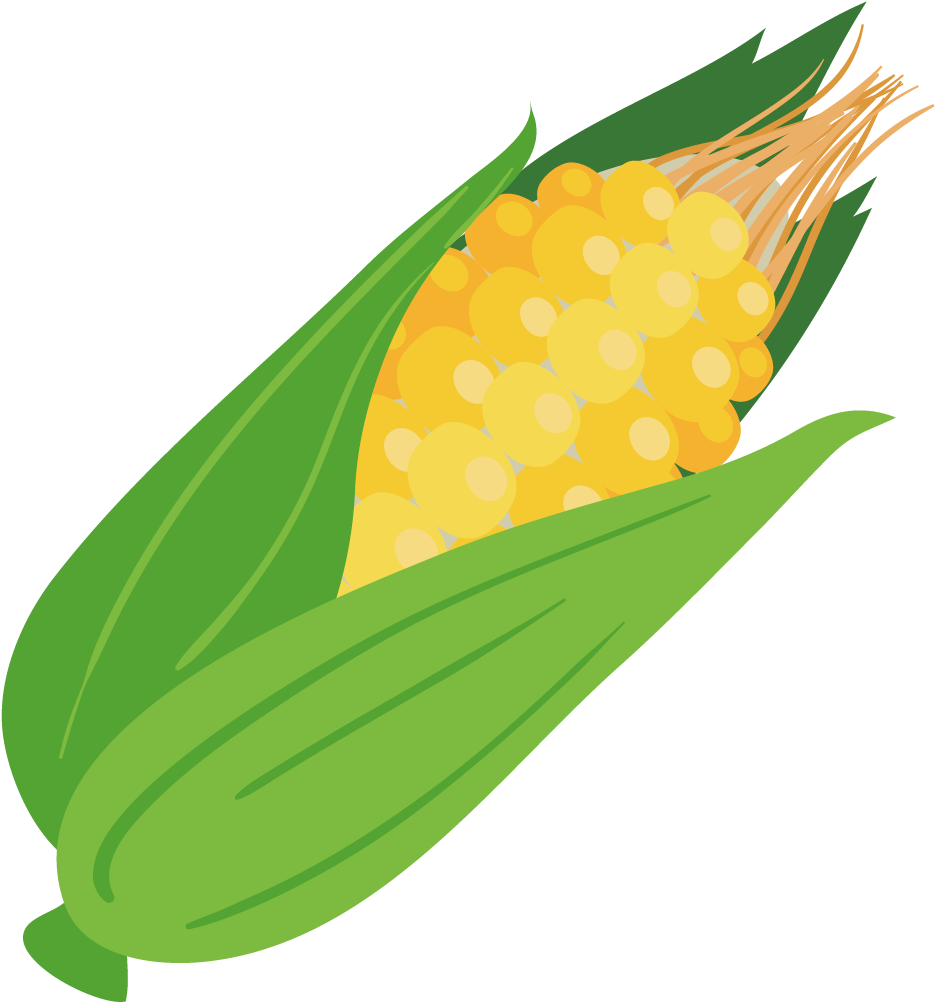 Кукуруза картинка png