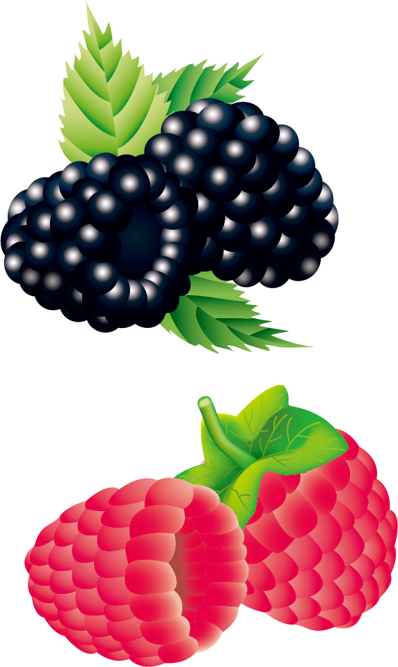 Raspberry Strawberry Blackberry - Raspberry Strawberry Blackberry (572x958)