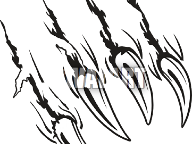 Claw Scratch Clipart Lion - Clip Art Bear Claw (640x480)