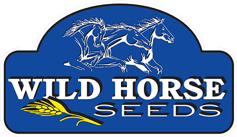 Wildhorse Seeds - Wildhorse Seeds (500x288)