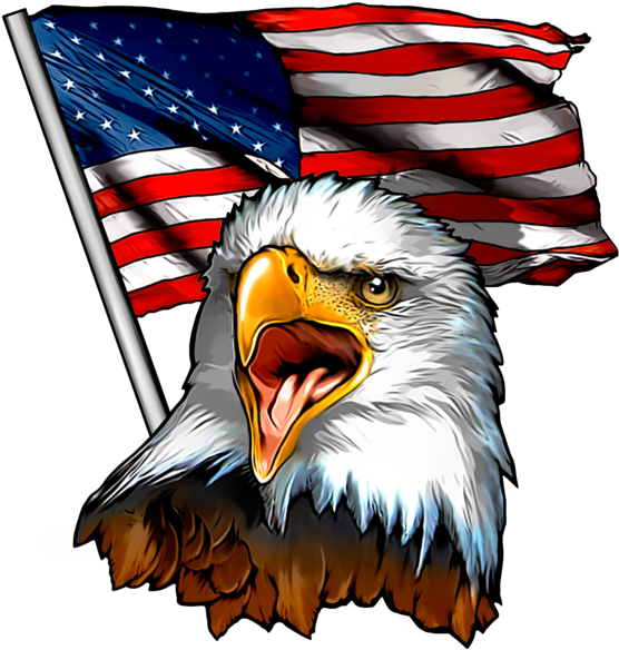 Patriotic Fabric, Eagle Fabric W Flag - Decal (573x600)