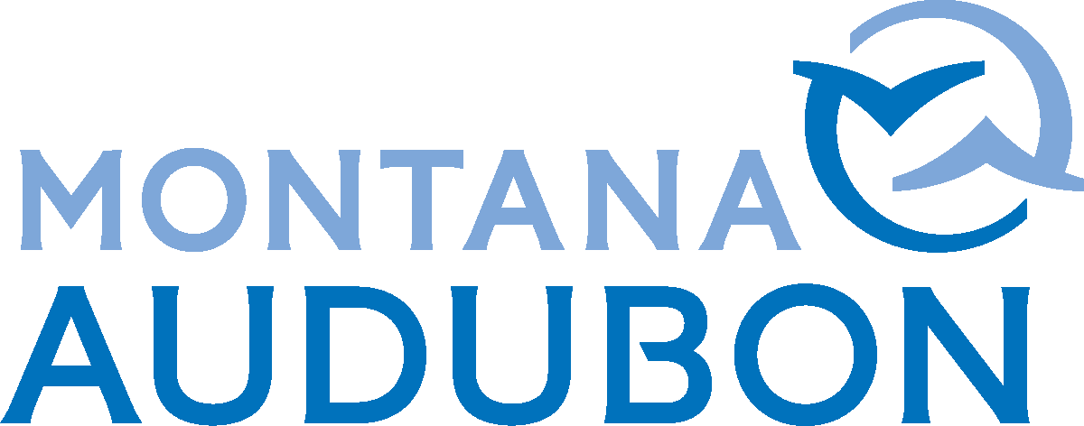 Montana Ebird Is Managed By Montana Audubon - Billings Audubon Center (1200x472)