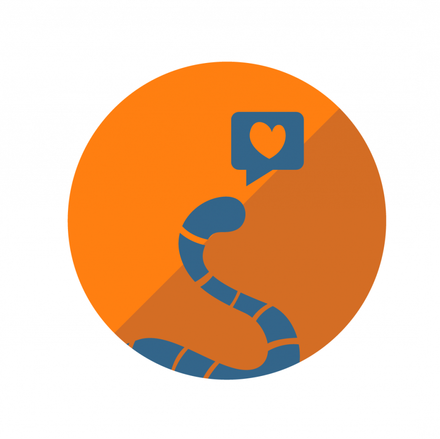 After Learning All The Benefits Of Using Bugs In Meals, - Graphic Design (900x899)