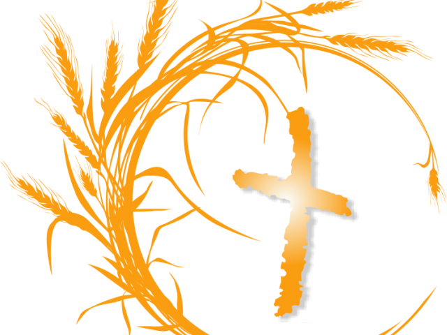 Burn Out Lesson From Elijah - Illustration (640x480)