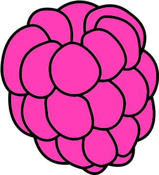 Desenhos De Framboesa Para Colorir (360x360)