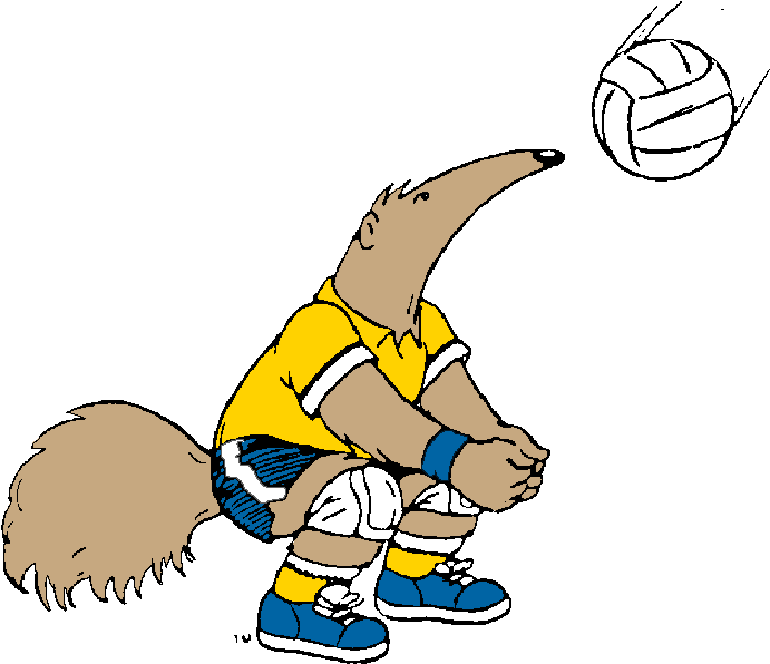 Anteater Playing Volleyball - Anteater Volleyball (751x634)