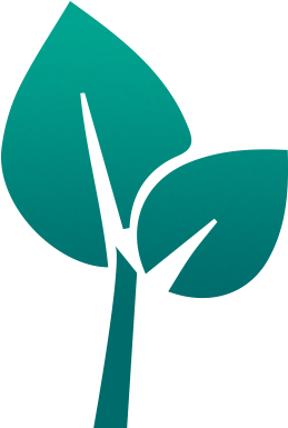 Plant - Ymca Of Rock River Valley (400x400)