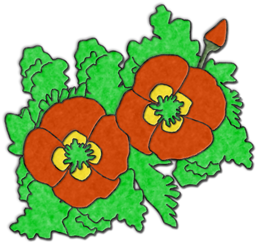 Felted-poppies - Poppy (512x512)