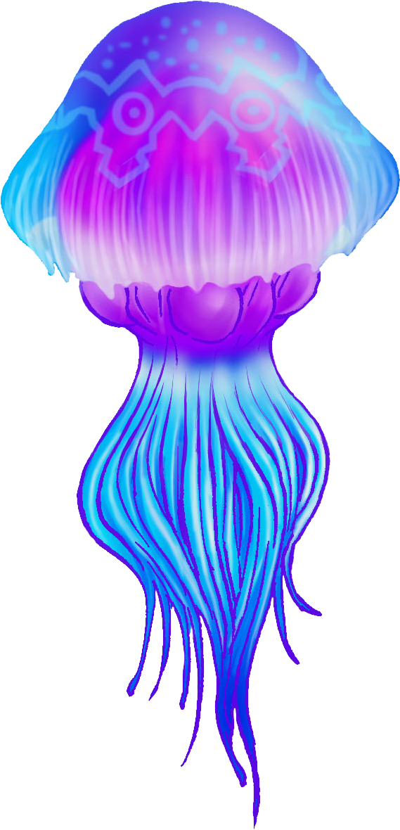 Jellyfish Png Gif (569x1180)