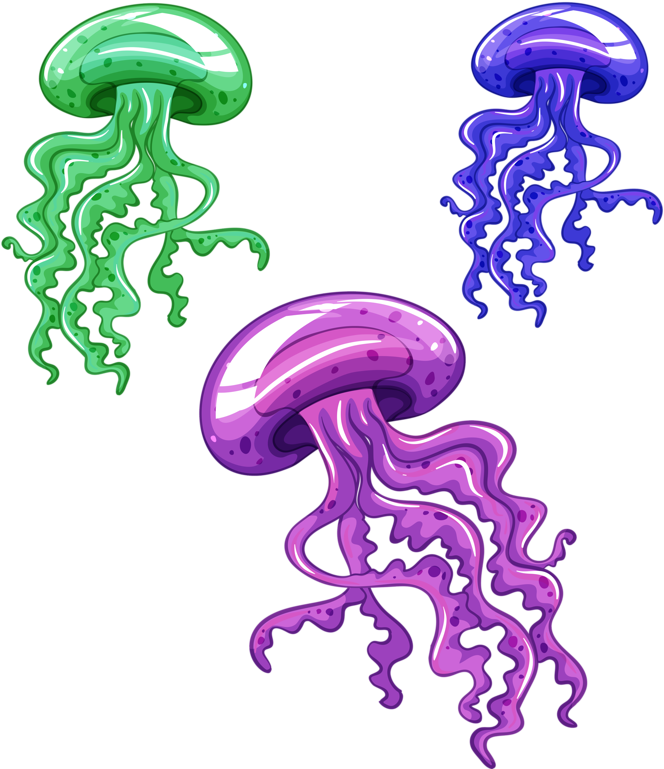Medusa De Mar Animada (694x800)