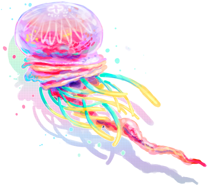 Jellyfish Png (800x661)