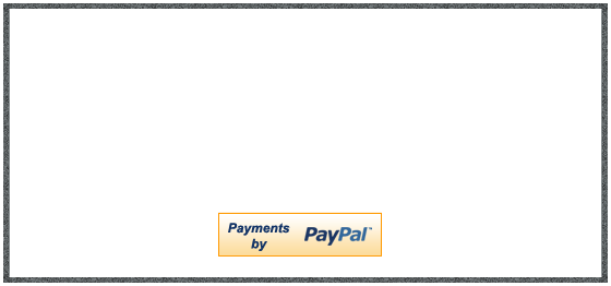 Somehow I Chose The Media Of Colored Wire And Seed - Paypal (560x262)