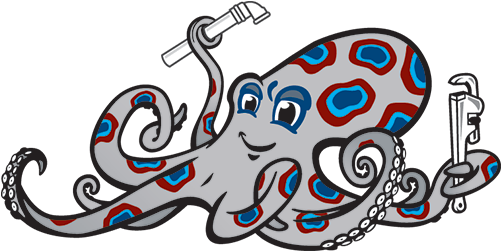 Plumbing Leak Detection Expert Services Va - Octopus Plumber (500x263)