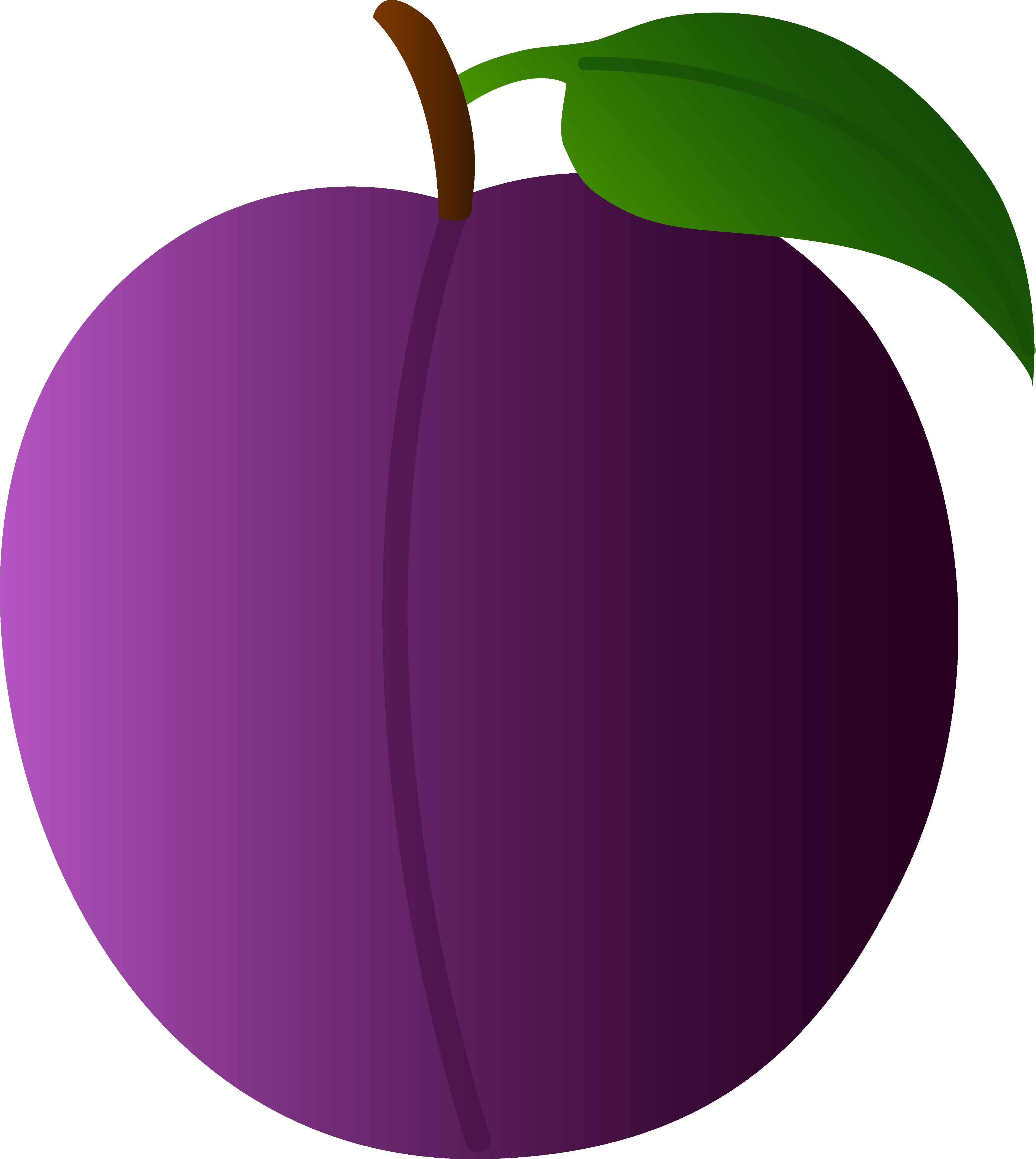 Plum Cliparts - Plum Clipart (3790x4239)
