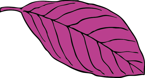 Pink Leaf Cliparts - Leaf Clip Art (600x325)