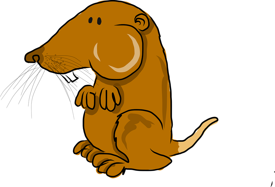 Cartoon Desert Animals - Pocket Gopher Cartoon (960x652)