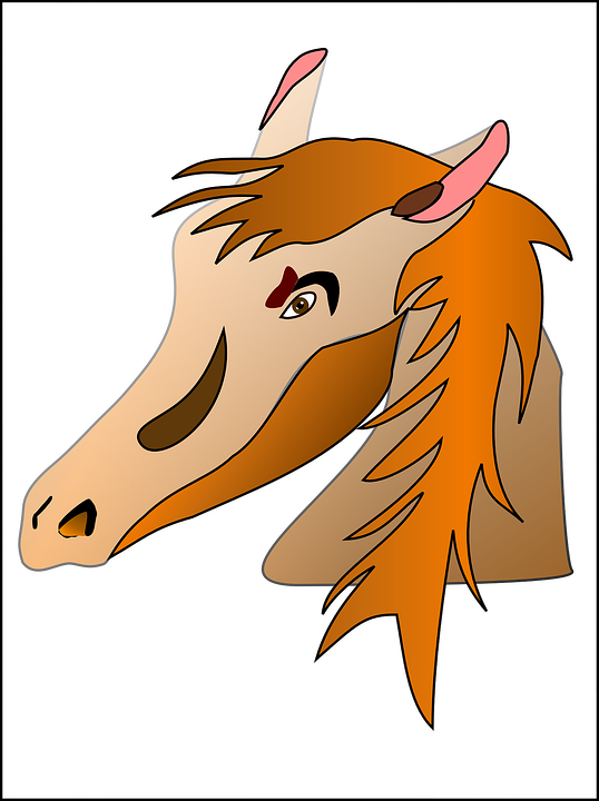 Horse Head Cartoon - Horse Head Cartoon (538x720)