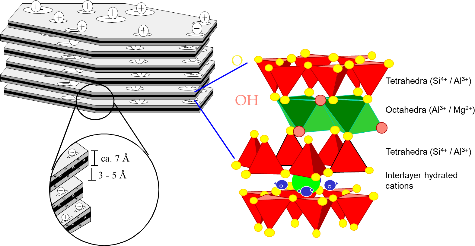 Oils / Food Markets - Diagram (1595x815)