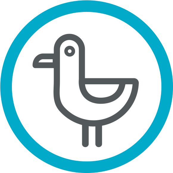 No Nonsense - Circle (600x600)