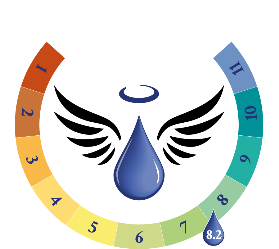 Ph Level And Alkalinity - Angel Revive Logo (920x920)
