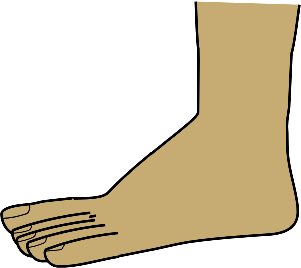 Foot Clipart Png (600x535)