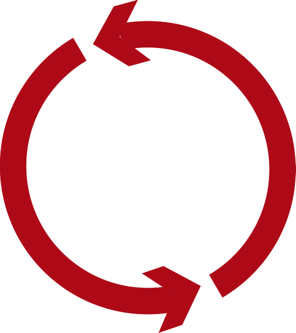 Desarrollo - Business Process (581x652)