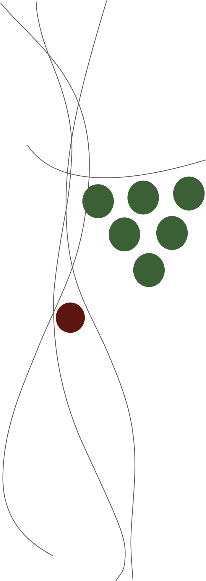 Faça Parte Da Minha Lista Vip Para Receber Novidades - Faça Parte Da Minha Lista Vip Para Receber Novidades (754x2033)