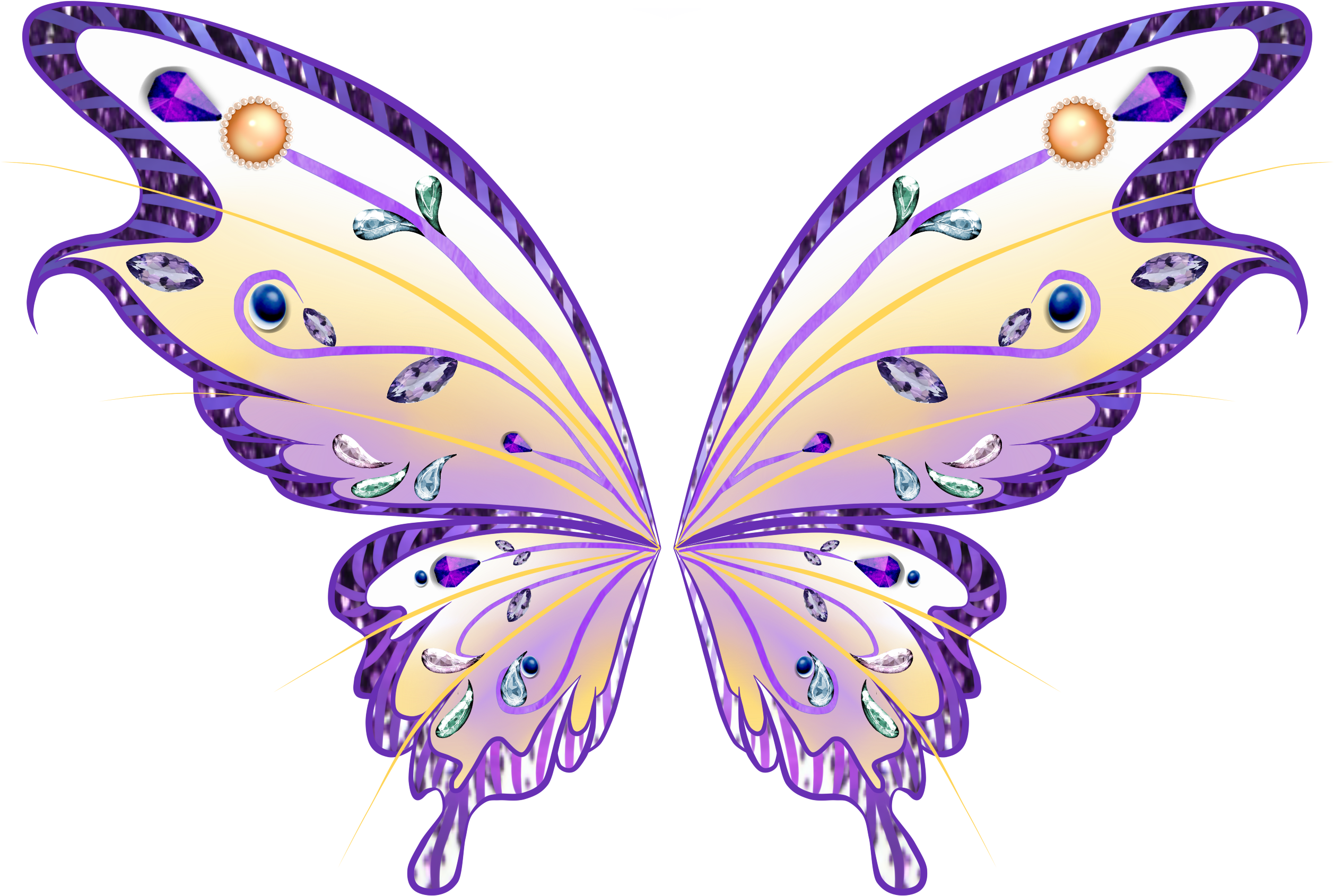 Wings Fairy Clipart - Fairy Wings Png (2598x2000)