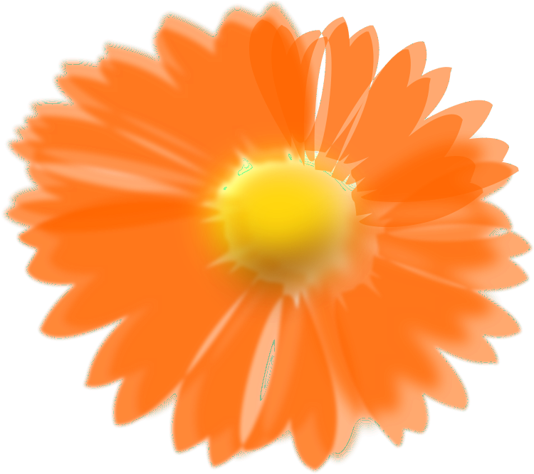 Orange Free Flower Inked - Clip Art (800x672)