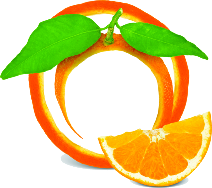 Fruit Frame - Orange Fruit Frame Png (676x600)