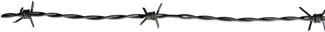Barbwire Png Transparent Images - Barbed Wire Png (640x480)