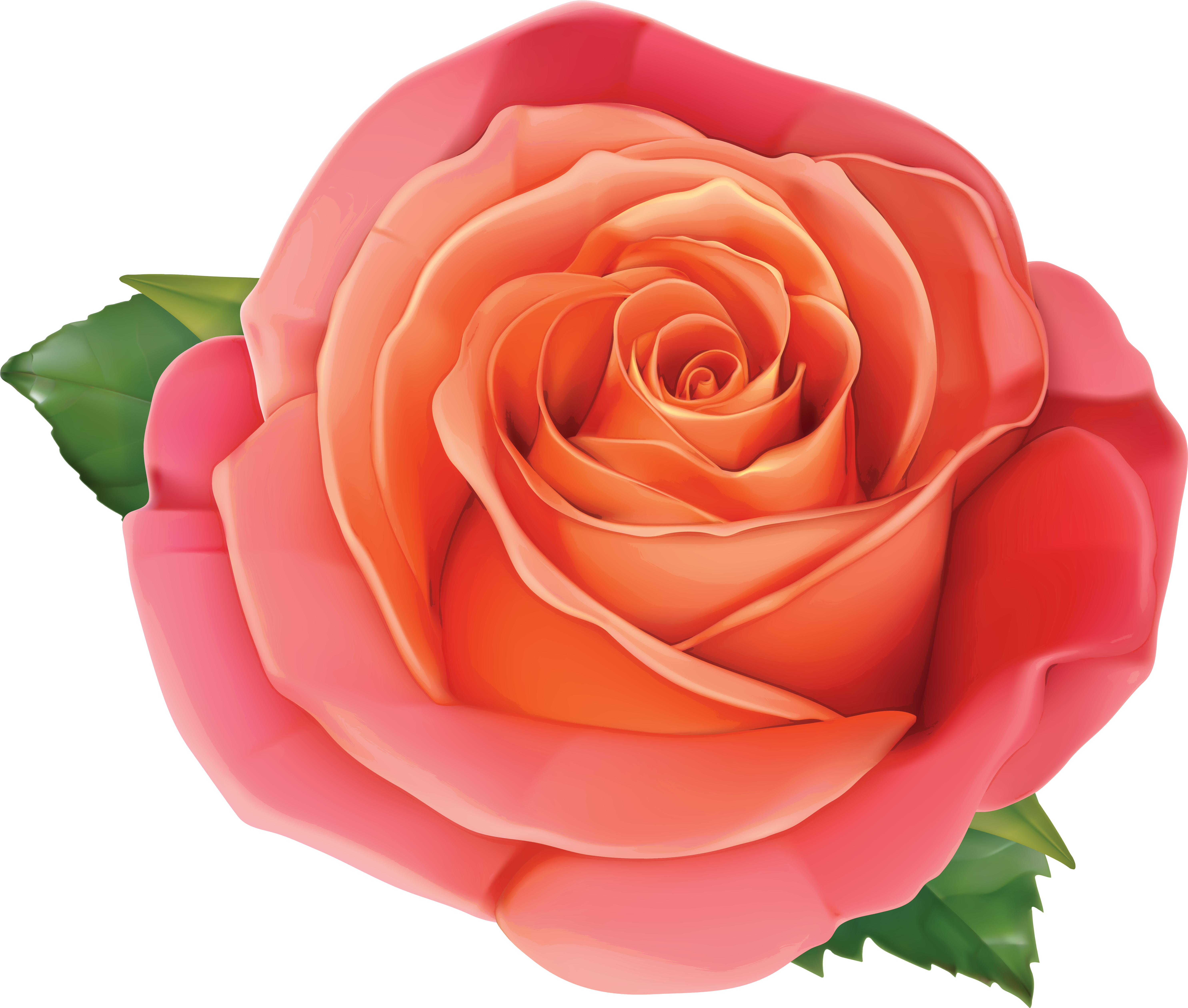 Pink Rose Clipart Orange Rose - Orange Rose Clipart Png (6402x5372)