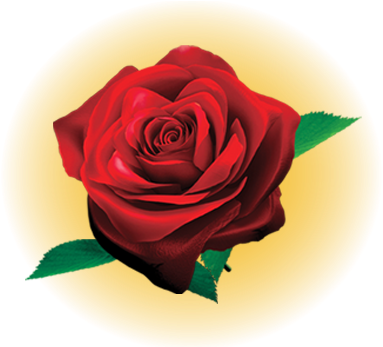 Extreme Phoenix Character - Floribunda (510x346)