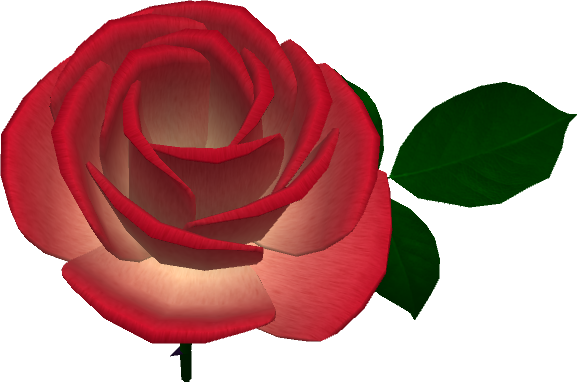 Caledon Oxbridge Village Red Rose 2018 - Garden Roses (577x382)