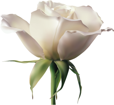 We Are The First Brand In Thailand To Import White - Johnny Mathis / Love Songs (407x407)