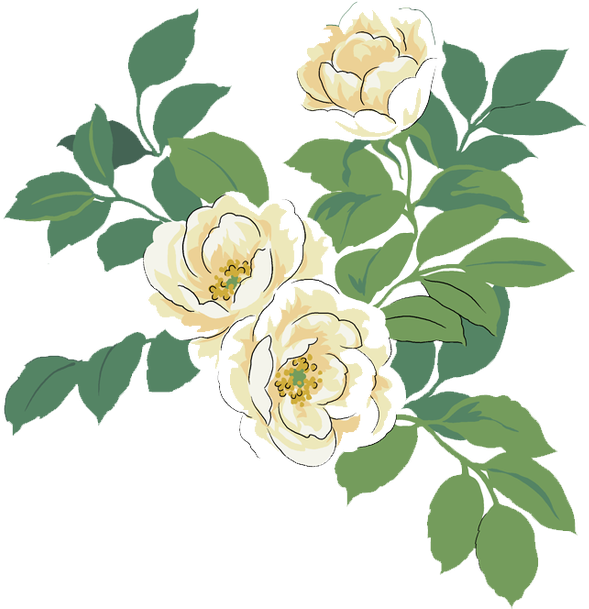 Japanese Camellia Red Watercolor Painting Illustration - Watercolor White And Green Flowers Free Png (650x650)