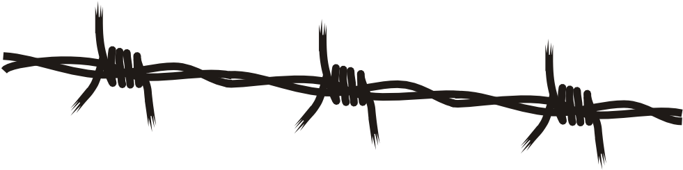 Clip Art Details - Barb Wire Free Vector (1000x247)