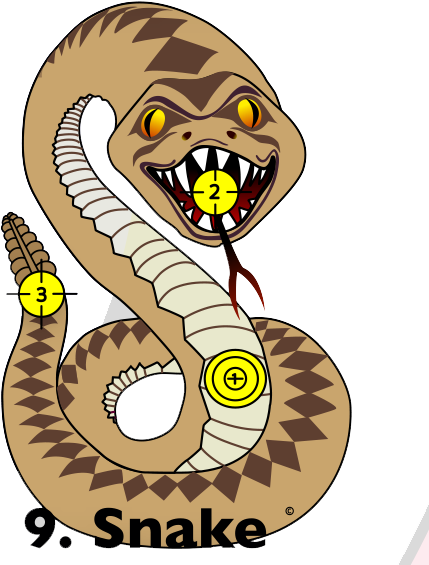 Python Family (564x576)