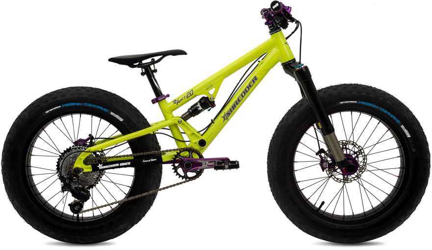 Extraordinary Bikes For Your Extraordinary Kid - Kid Mountain Bike (881x511)
