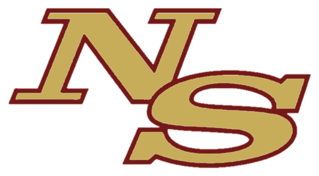 Ninety Six Wildcats - Ninety Six High School Logo (667x372)